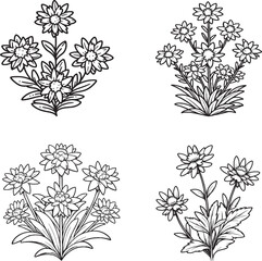 Hand-Drawn Floral Clusters - Intricate Black and White Botanical Stock Illustrations