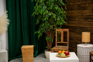 Creating a Stylish Interior Decor featuring Plants and Natural Elements for your home