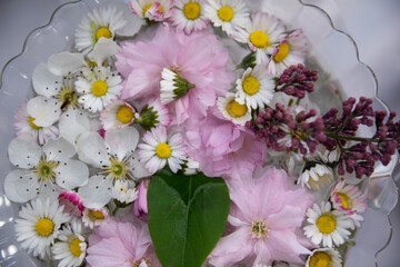 Fototapeta premium A Beautiful Floral Arrangement Featuring Vibrant and Striking Colors That Captivate the Eye