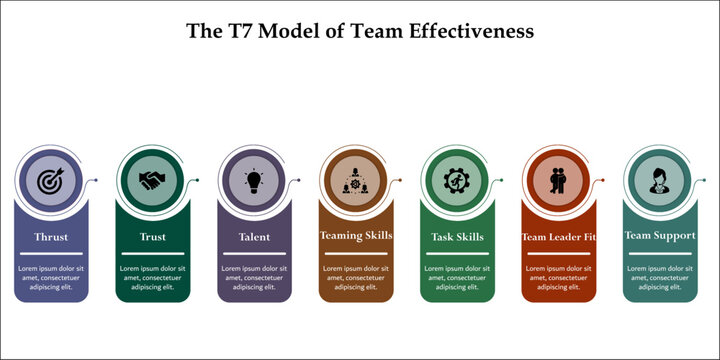 The T7 Model of team effectiveness. Infographic template with icons