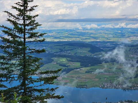 A stunning summer view from Mount Rigi, often referred to as the "Queen of the Mountains," offering panoramic vistas of the Swiss Alps and surrounding lakes. This image captures the lush green meadows