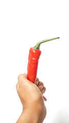 fresh red chili on white background