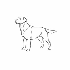 dog outline, drawing for coloring
