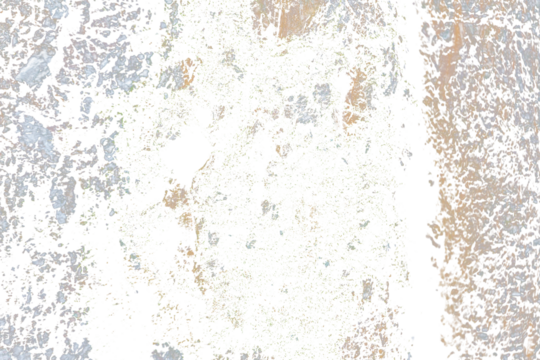 Grunge Tree Bark Texture with Green Moss Isolated on Transparent Background