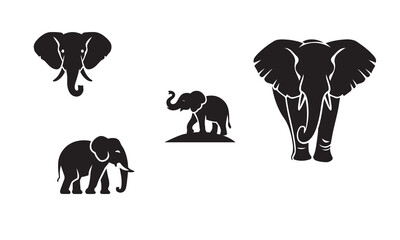 Elephant icon, logo,