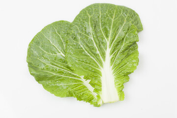  Ssamchu is a variety created by crossing Chinese cabbage and cabbage.