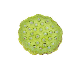 lotus seeds close up transparent png