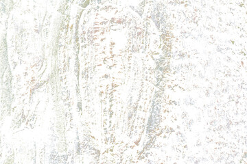 Grunge Tree Bark Texture with Cracks and Moss Isolated on Transparent Background