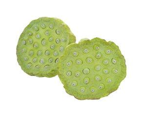 lotus seeds close up transparent png