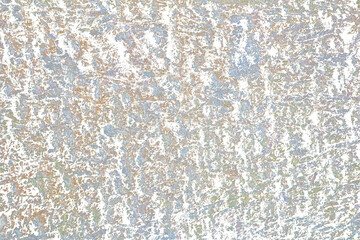 Grunge Tree Bark Texture with Cracks and Moss Isolated on Transparent Background