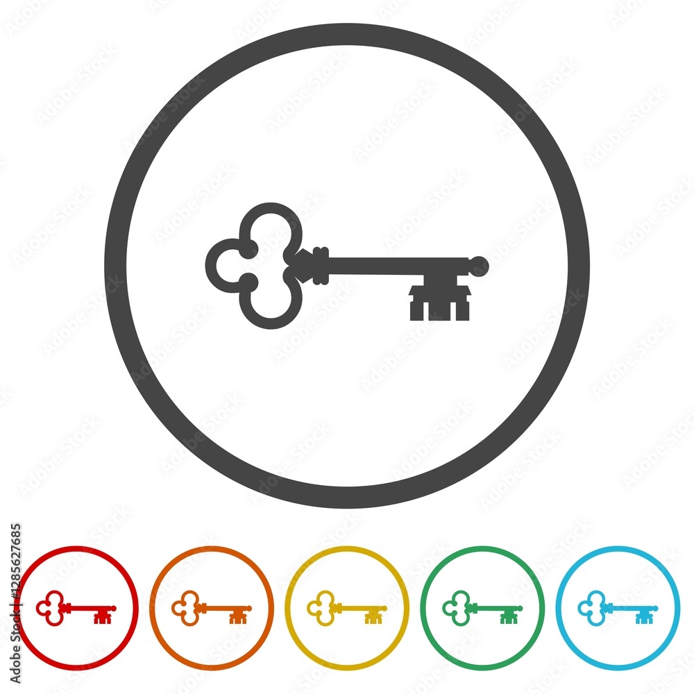 Poster old house key icon. set icons in color circle buttons