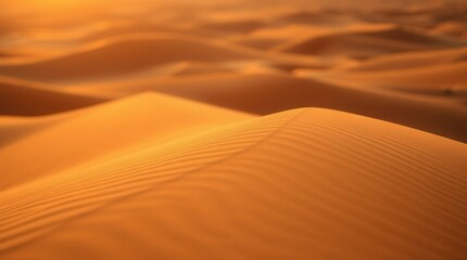 Golden dunes undulate gracefully under the setting sun, creating a serene desert landscape.