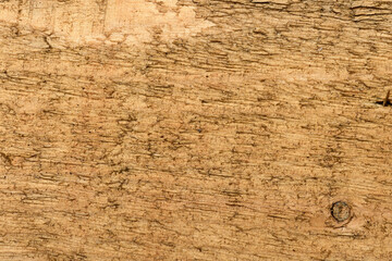 abstract natural wooden texture for background