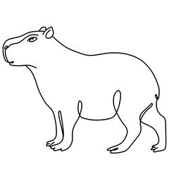 Capybara illustration, line art