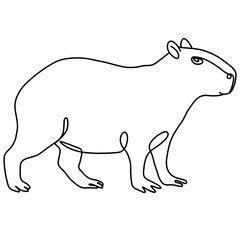 Capybara illustration, line art