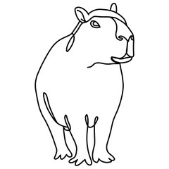 Capybara illustration, line art