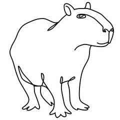 Capybara illustration, line art
