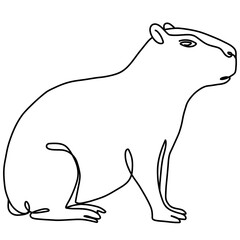 Capybara illustration, line art