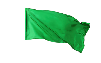 Green flag on transparent or white background