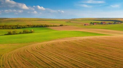Obraz premium Aerial view of a striking moravian landscape split between golden rapeseed fields and lush green farmland with perfect symmetry and long tree shadows at sunset