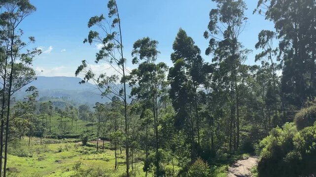 View from Train Window to Ella Mountains &ndash; Breathtaking Sri Lanka Journey
