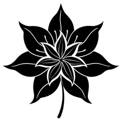 black and white flower