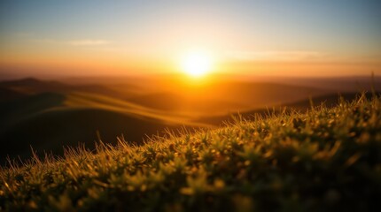 Obraz premium Sunset over rolling hills, golden light filtering through the grass, creating a serene and peaceful scene.