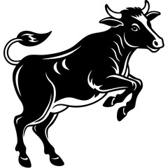 black and white cow