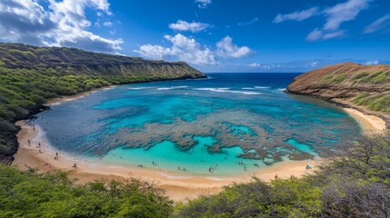 Fototapeta premium Discover the beauty of Hanauma Bay, a stunning natural landmark on the island of Oahu, Hawaii.
