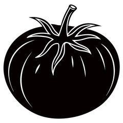 tomato vector illustration