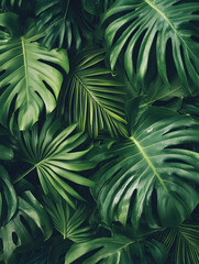 Lush Green Monstera Leaves Texture Creates Vibrant Nature Background for Interior Design Inspiration : Generative AI