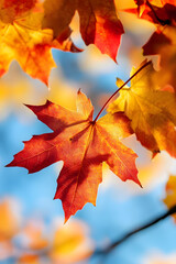 Vibrant Autumn Maple Leaf Against Bright Blue Sky Capture : Generative AI