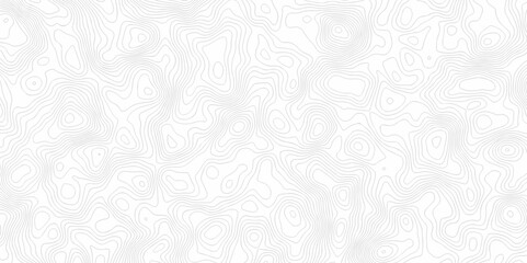 Lines map seamless topographic contour lines vector pattern. Geographic map and topographic contours map background. Vector illustration. White wave paper reliefs.	