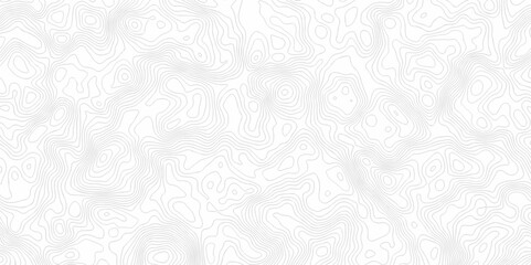 Lines map seamless topographic contour lines vector pattern. Geographic map and topographic contours map background. Vector illustration. White wave paper reliefs.	