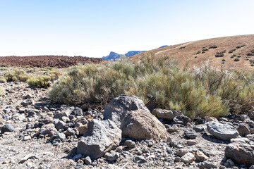Lava Fields, Pumice Volcano Stones Texture, Volcanic Pumice Pattern, Pieces of Lava, Basalt Extrusive Igneous Rock