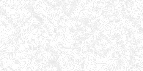 Lines map seamless topographic contour lines vector pattern. Geographic map and topographic contours map background. Vector illustration. White wave paper reliefs.	