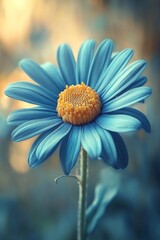 A single blue flower with a yellow center on a stem