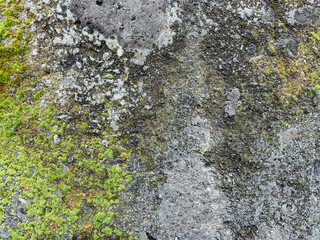 Old gray vintage wall texture structure as background