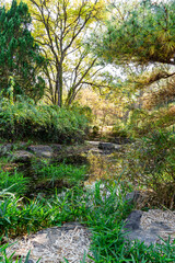 Autumn park with colorful trees with and falling leaves in the park