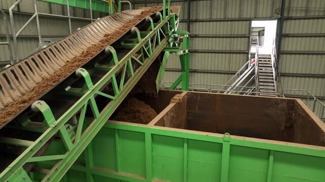 Oil Palm EFB Conveyor Discharge: Raw Material for Pulp and Paper Production