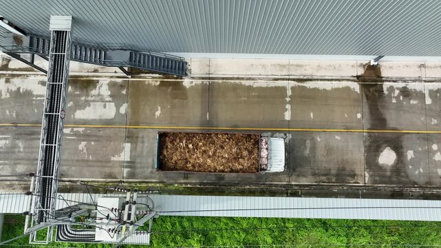 Oil Palm EFB Transportation: Truck Delivering Raw Material to Pulp and Paper Facility