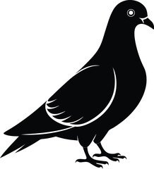 Rock Pigeon silhouette vector illustration, Rock Pigeon silhouette vector, Rock Pigeon PNG.