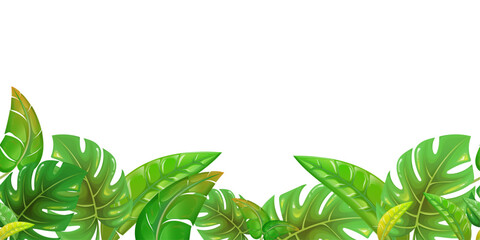 endless pattern border of green tropical palm leaves with transparent background