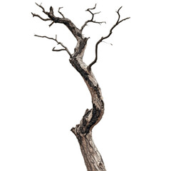 Fototapeta premium Digitally Enhanced Tree with Sparse Leaves and Abstract Artistic Effects on Isolated Black Background Creating a Unique Nature-Inspired Design