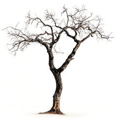 Digitally Enhanced Tree with Sparse Leaves and Abstract Artistic Effects on Isolated Black Background Creating a Unique Nature-Inspired Design