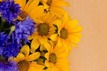 flowers, floral background