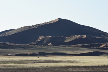 Fototapeta premium Sanddünen der Namib im Abendlicht in Namibia
