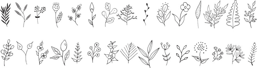 a set of hand drawn plants and flowers, floral vector illustration