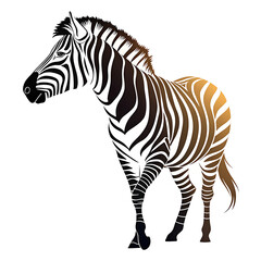 Fototapeta premium An elegant Zebra silhouette icon set against a clean white background.