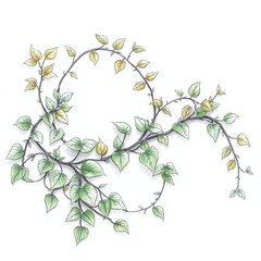 Hand-drawn sketch, epic scale, modern future scene depicting elegant vines and leaves intertwined in a minimal botanical style. Soft green tones, rough lines, textured pencil strokes, white background
